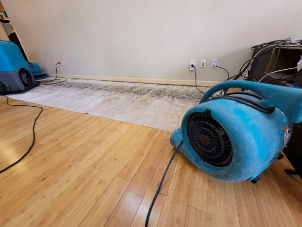 Professional Water Extraction technician working in Edison, CA